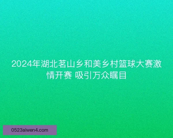 2024年湖北茗山乡和美乡村篮球大赛激情开赛 吸引万众瞩目